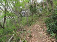 麓山神社への分岐道