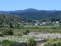 五社山 (685.3m)