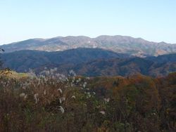 花塚山 (918.5m)