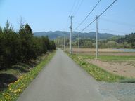 羽倉地区