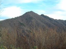 大嵐山・湯ノ倉山 (1635.4m,1343m)