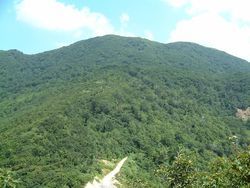 大白森山 (1642m)