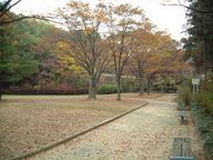 駒山公園