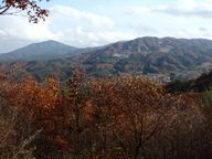 展望台から蓬田岳と東山